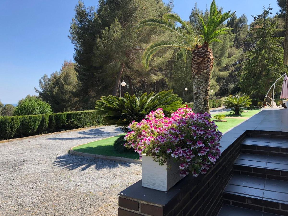 Casa Picarany Villa Almoster