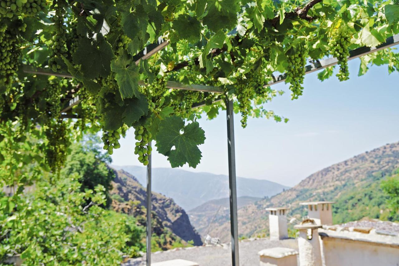 Vata 1 Y 2 Alpujarra