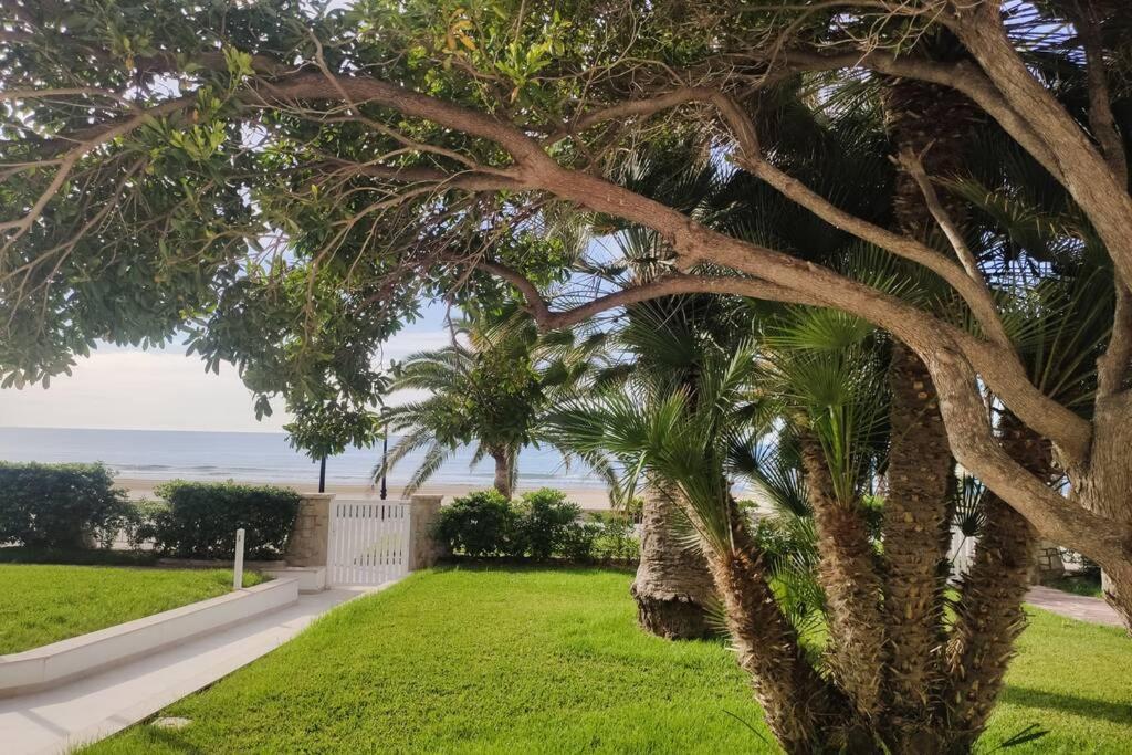 Apartamento Recién Reformado En Primera Línea Con Vistas A La Playa De La Almadraba Benicàssim
