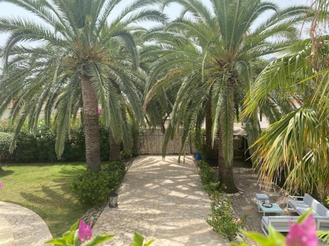 Villa Palmera Playa Almadrava, Els Poblets ,
