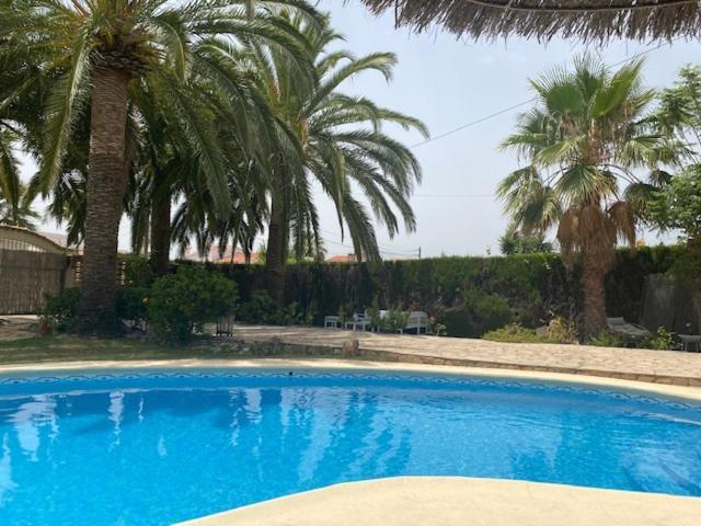 Palmera Playa Almadrava, Els Poblets , Villa Denia