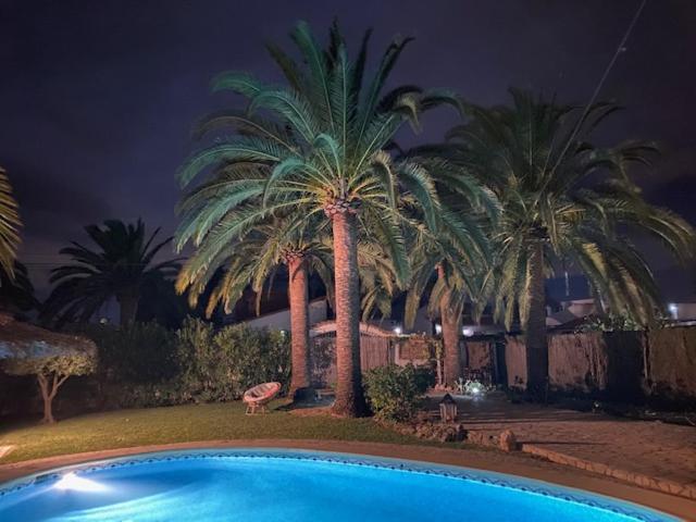 Palmera Playa Almadrava, Els Poblets , *