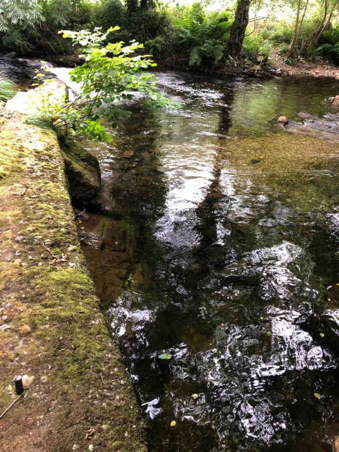 Madreselva *