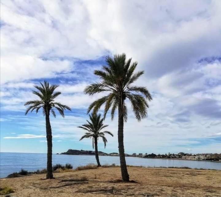 Buendia Puerto de Mazarron