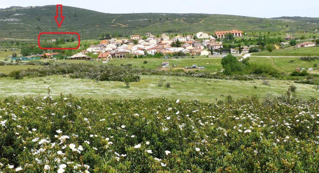 La Casa Del Ingles - Holiday home