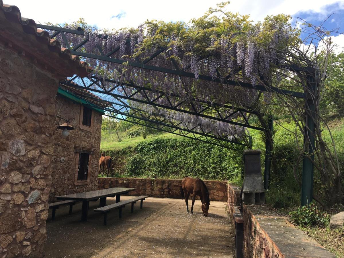 Country house El Tornero Aracena