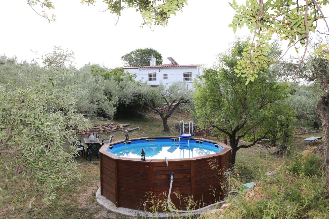 Casa Rural Delta Del Ebro Ecoturismo Camarles