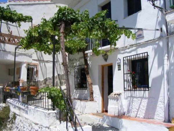 Las Parras