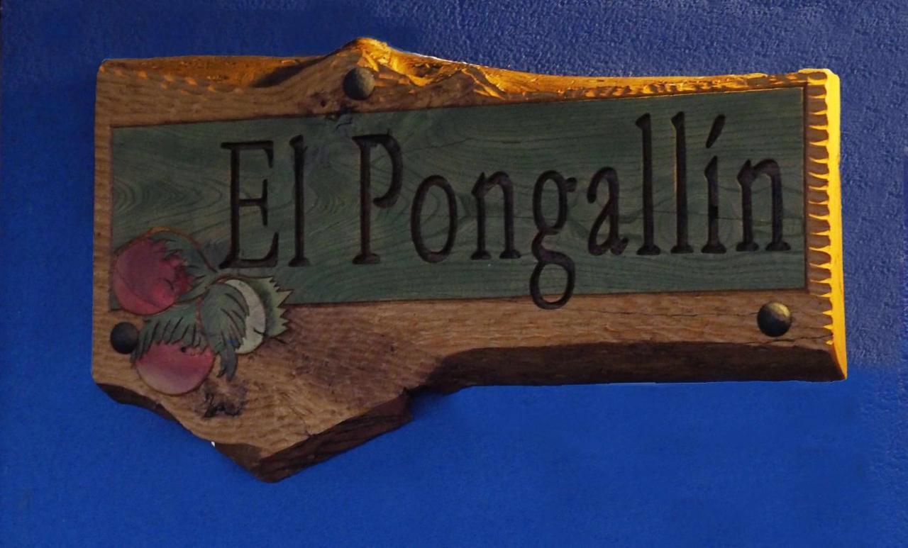 Сasa de vacaciones Vv 268 El Pongallin Ideal Familias Sevares
