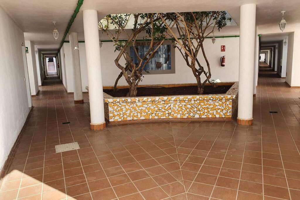 Gioiellino Costa Adeje (Tenerife)