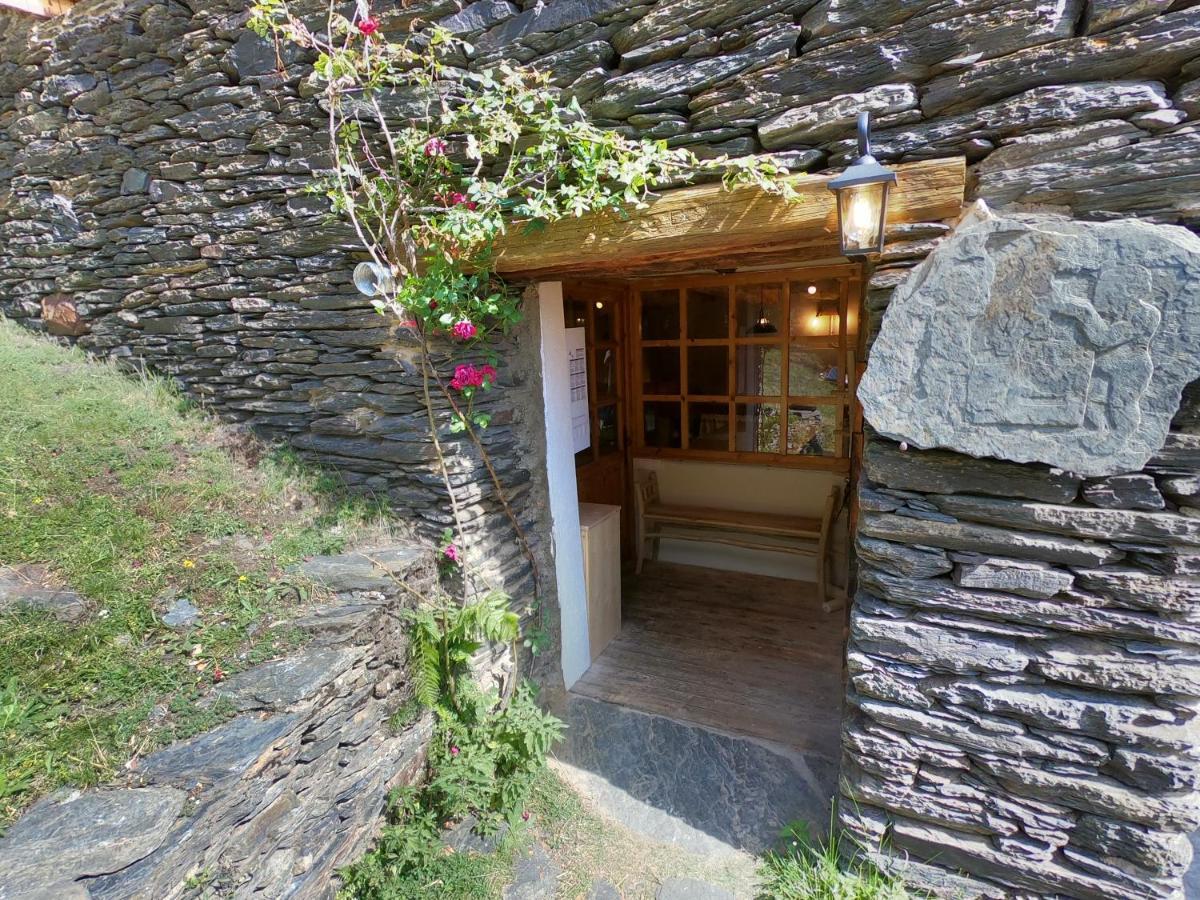 Campo de lujo Bordes Pirineu, Pintor