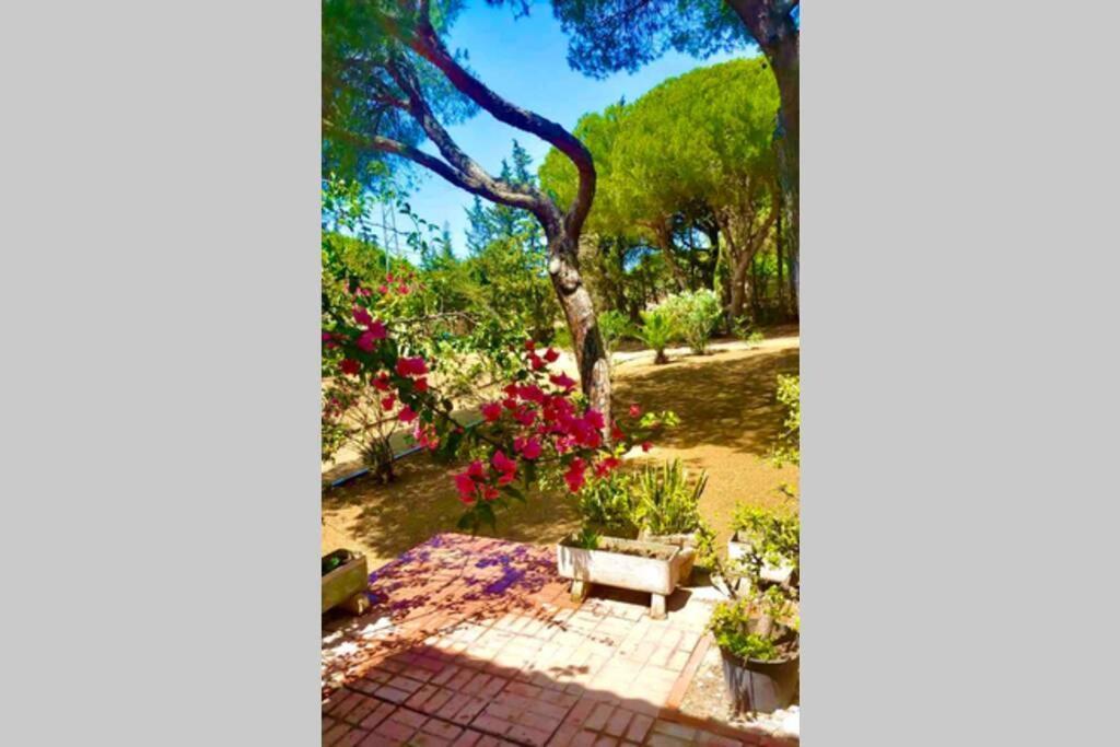 Agradable Con Piscina En La Barrosa Holiday home Chiclana de la Frontera