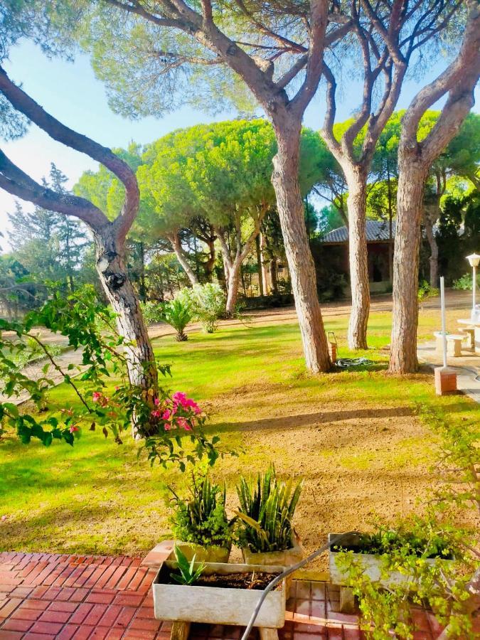 Agradable Con Piscina En La Barrosa Holiday home Chiclana de la Frontera