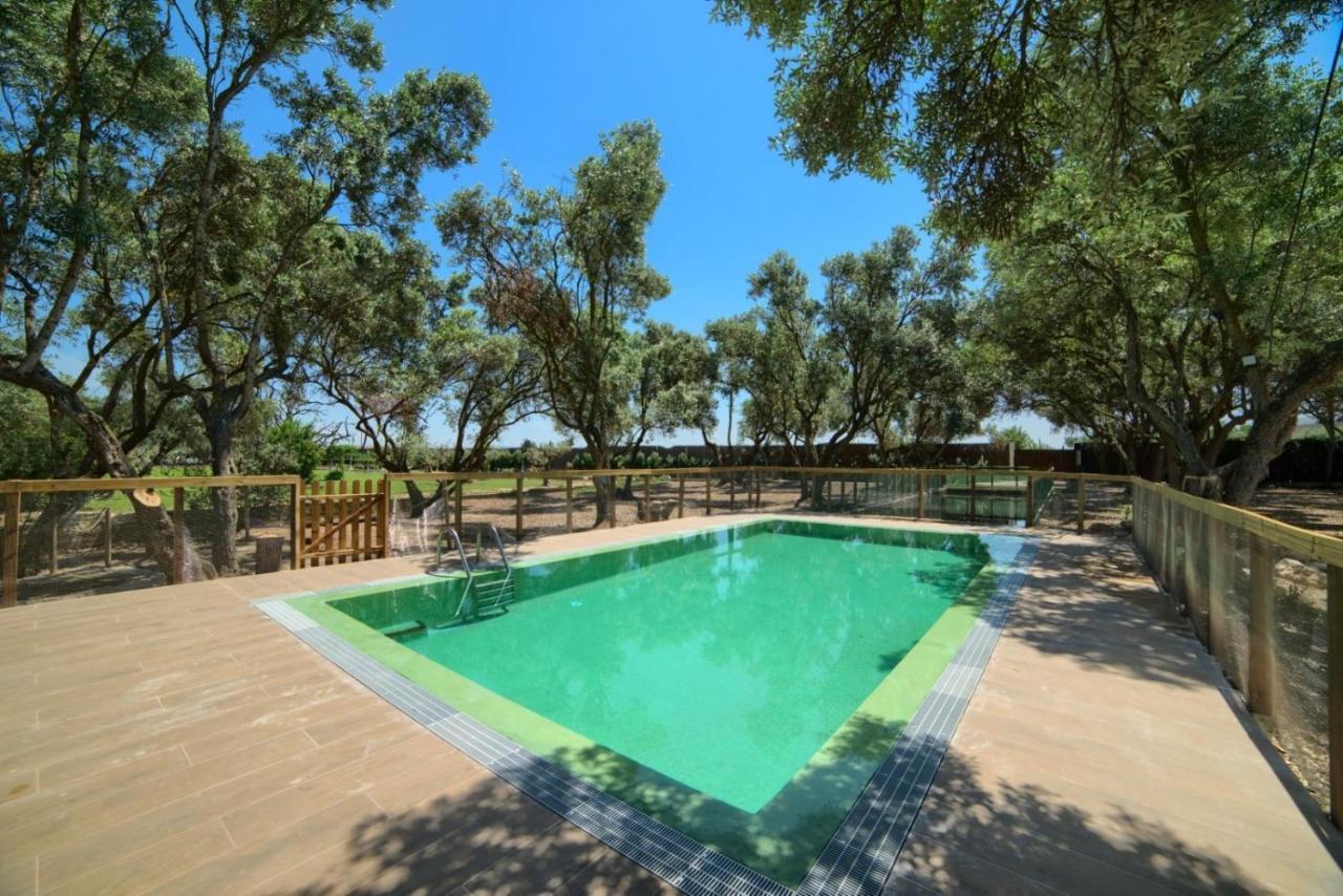 Finca Olivar De La Bardena Casa rural Tudela