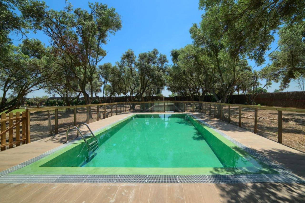 Casa rural Finca Olivar De La Bardena