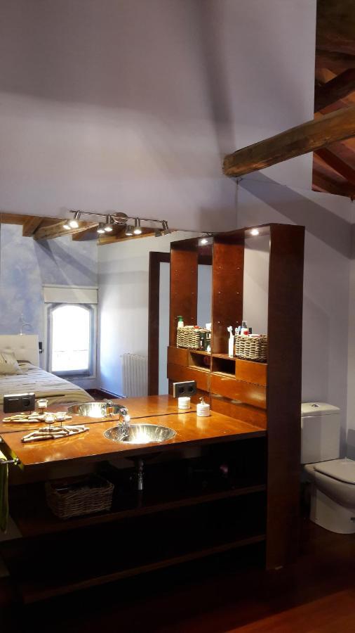 Loft Con Vistas Al Río * Camprodon