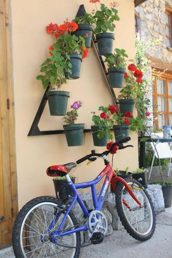 Homestay Casa Susaron