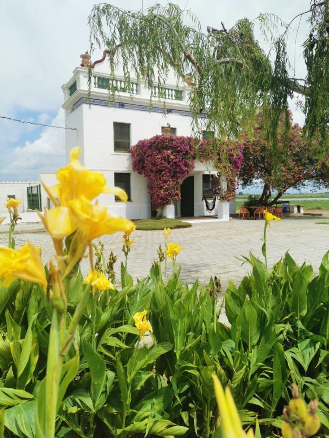 Villa Els Flamencs *