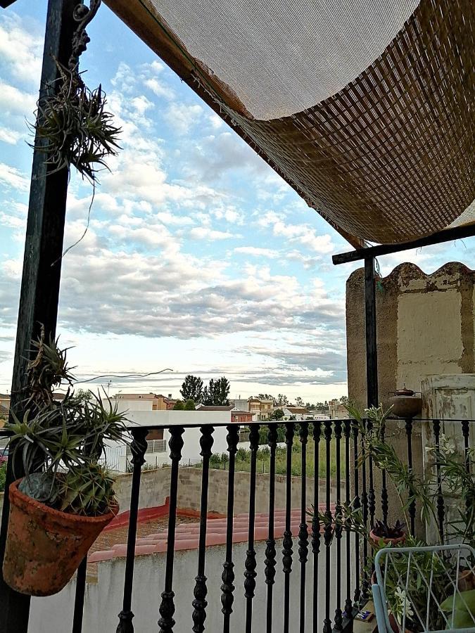 Homestay Ventura