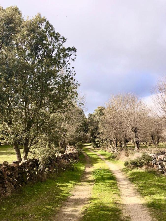 Сasa de vacaciones El Pajar De Abajo - Pedraza -