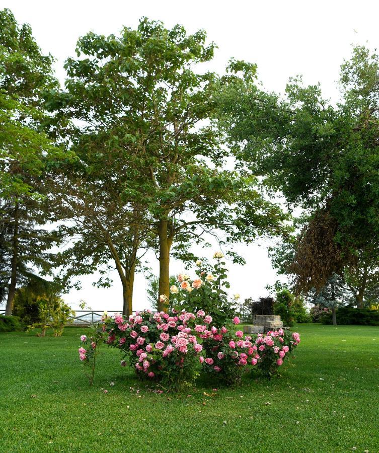 Rural La Moragona Hotel Vara Del Rey