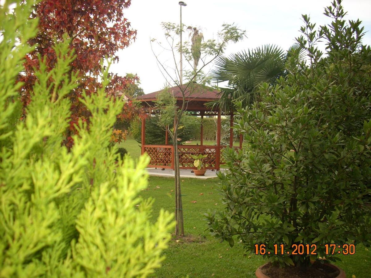 La Casa De Mamasita *