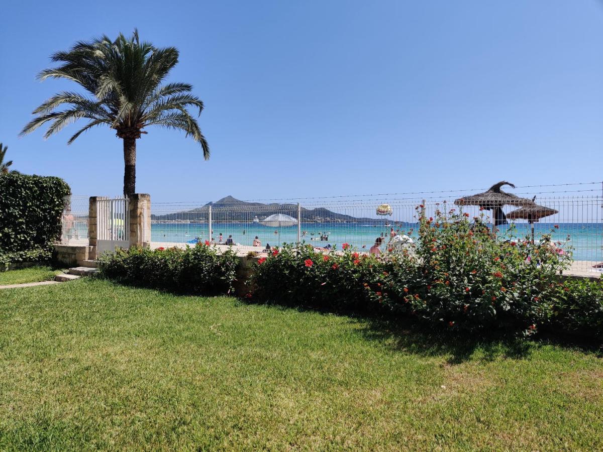 Mirada De Alcudia Playa de Muro (Mallorca)