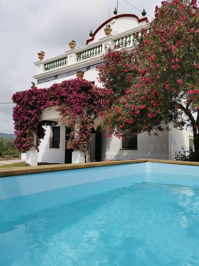 Villa Els Flamencs Amposta