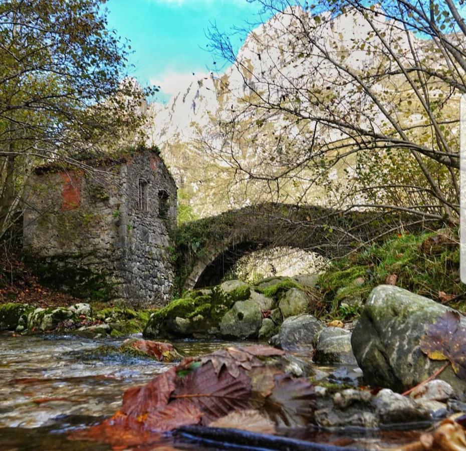La Arandanera *