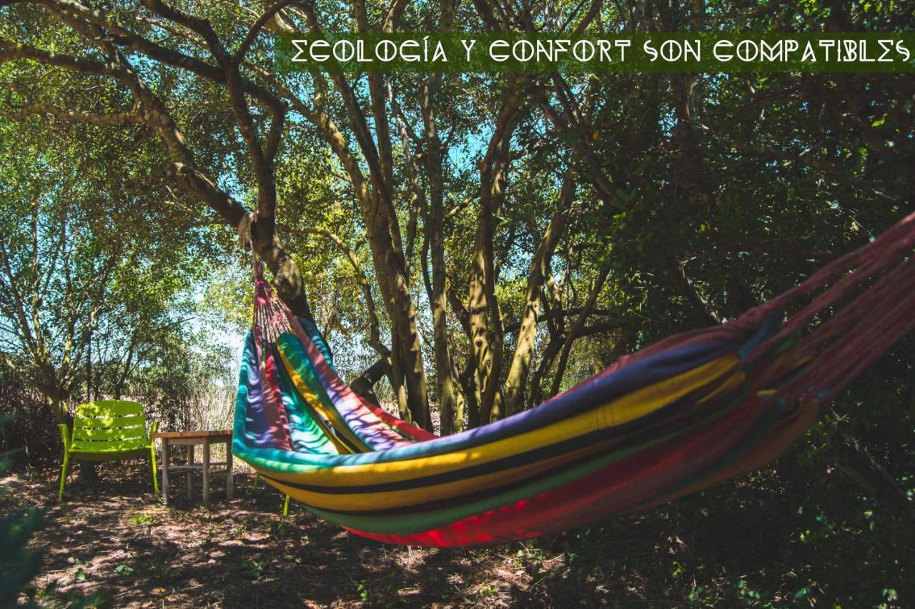 Tulpa Cadiz * Malcocinado (Andalucia)