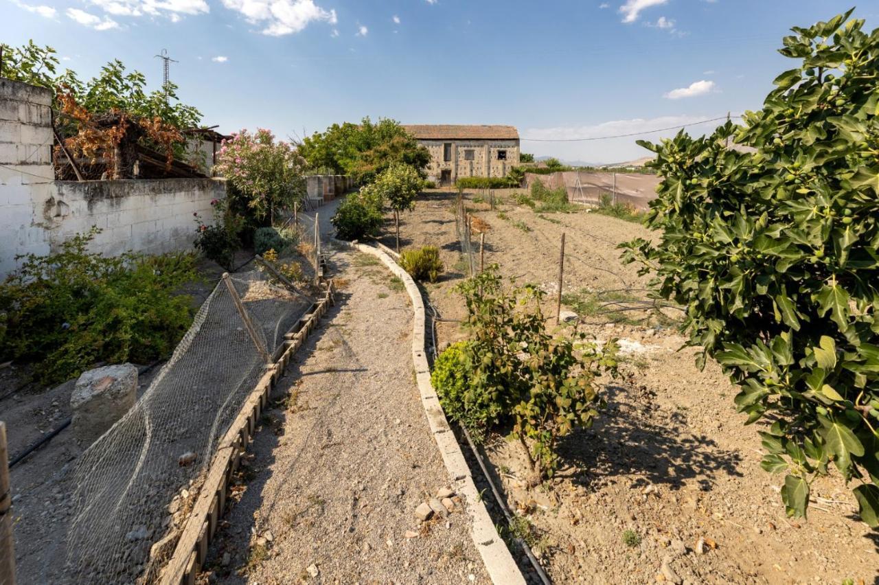 Holiday home Casa De Mar Y Kanela 17 Km Granada Fuente Vaqueros