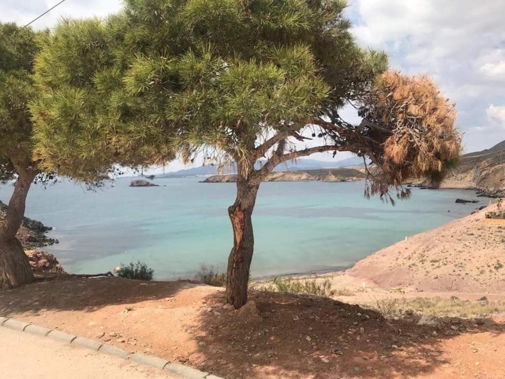 Apartamento Claudia I