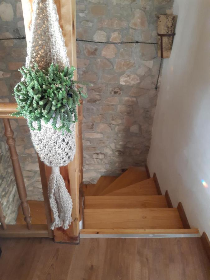 Homestay Ca La Martona *