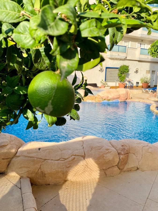 Apartment Costa Lunar In Cabo Roig