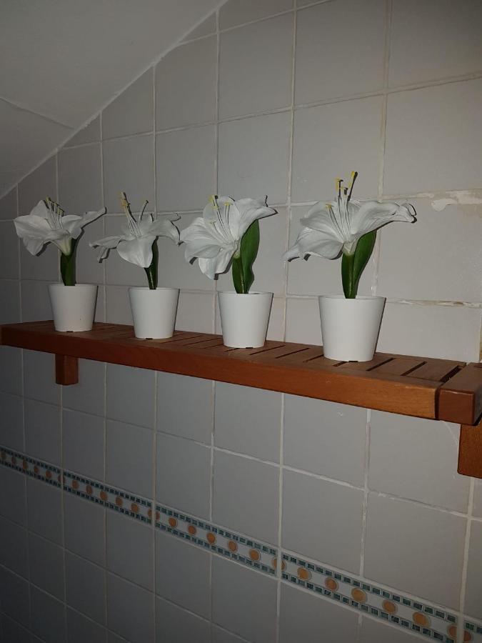 La Buhardilla