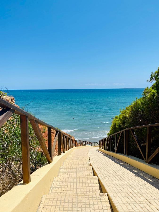 Apartment Costa Lunar In Cabo Roig