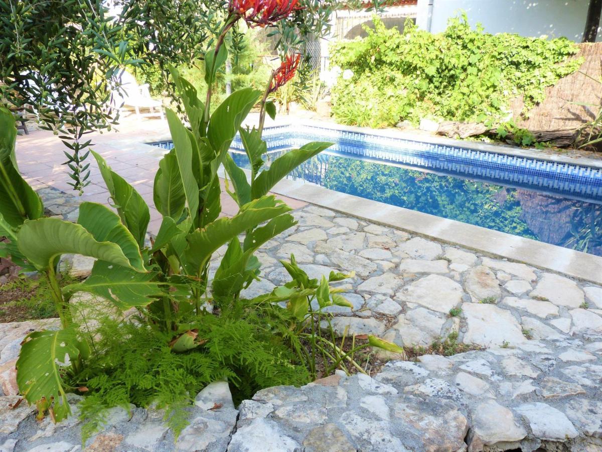 Hort De La Cinteta