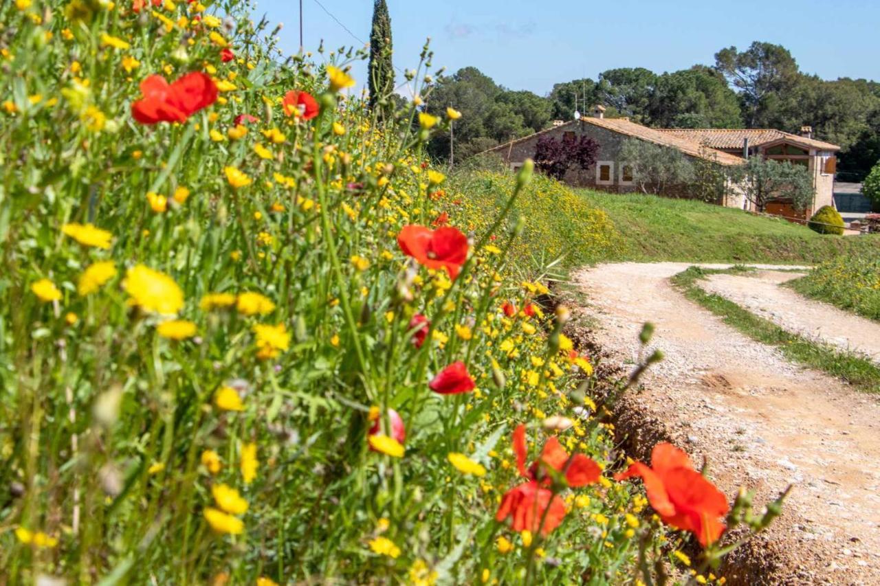 Cal Parent Casa Rural Exclusiva En El Pla De Lestany