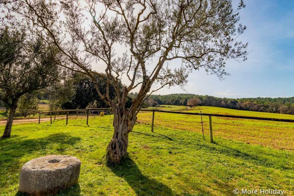Cal Parent Casa Rural Exclusiva En El Pla De Lestany Ollers