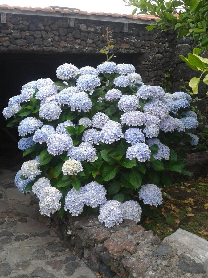 Holiday home Aborigen Bimbache San Andres (El Hierro)