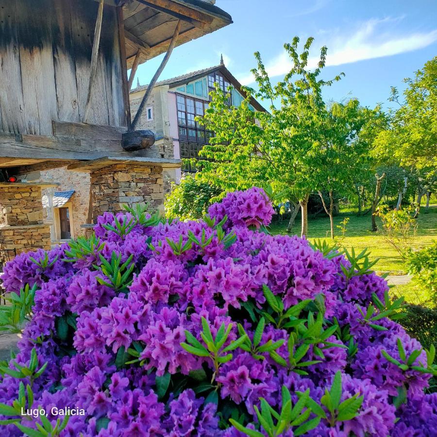 As Casas Do Retratista Adults Only Country house