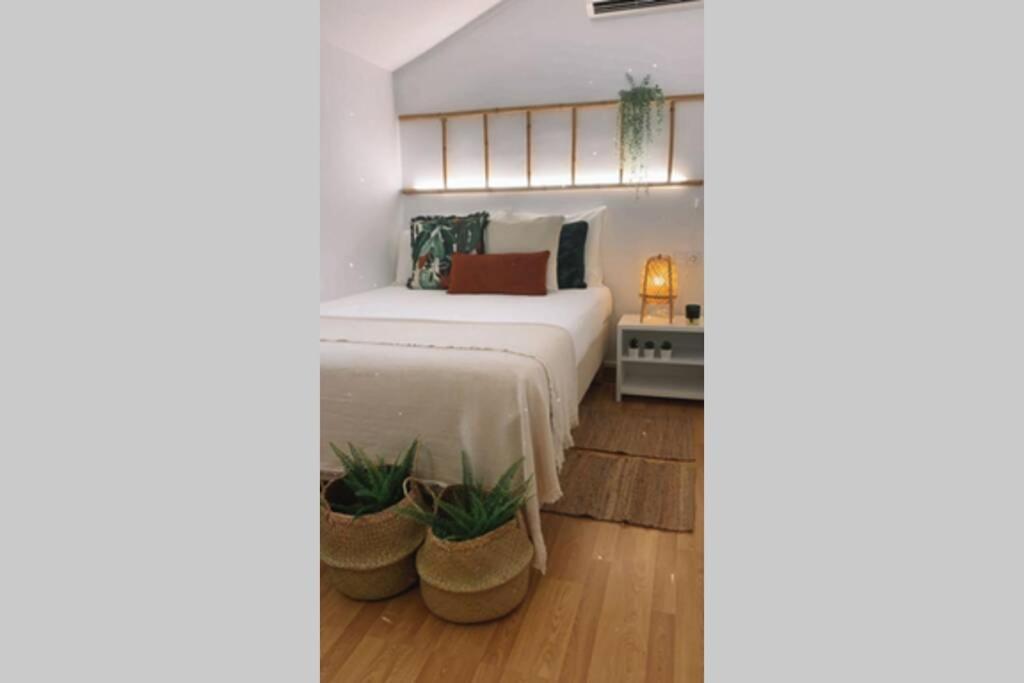Apartment Apartamento Del Colorado Playamar *