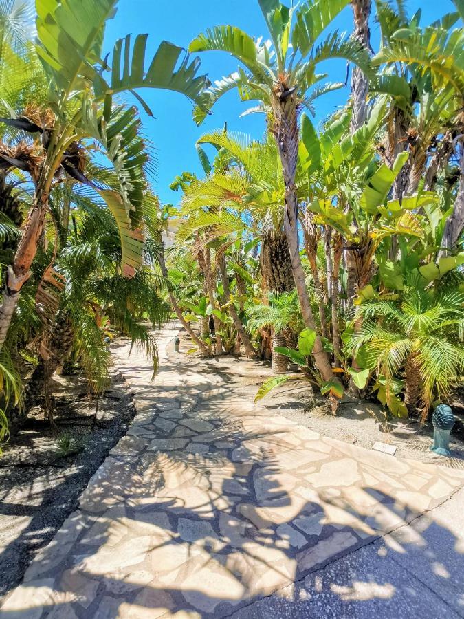 Veratespera Apto Cerca De La Playa, Wifi, Mascotas Apartamento