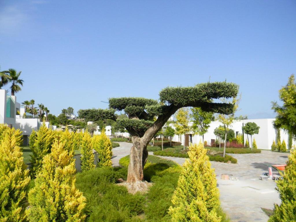 Limonero 17, Golf Club In Colinas Сasa de vacaciones Dehesa de Campoamor (Orihuela Costa)