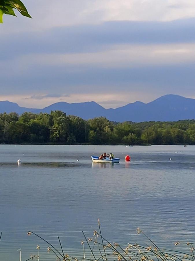 Aroa S Lake Banyoles