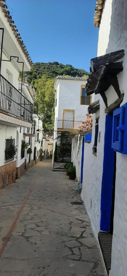 El Patio Benadalid