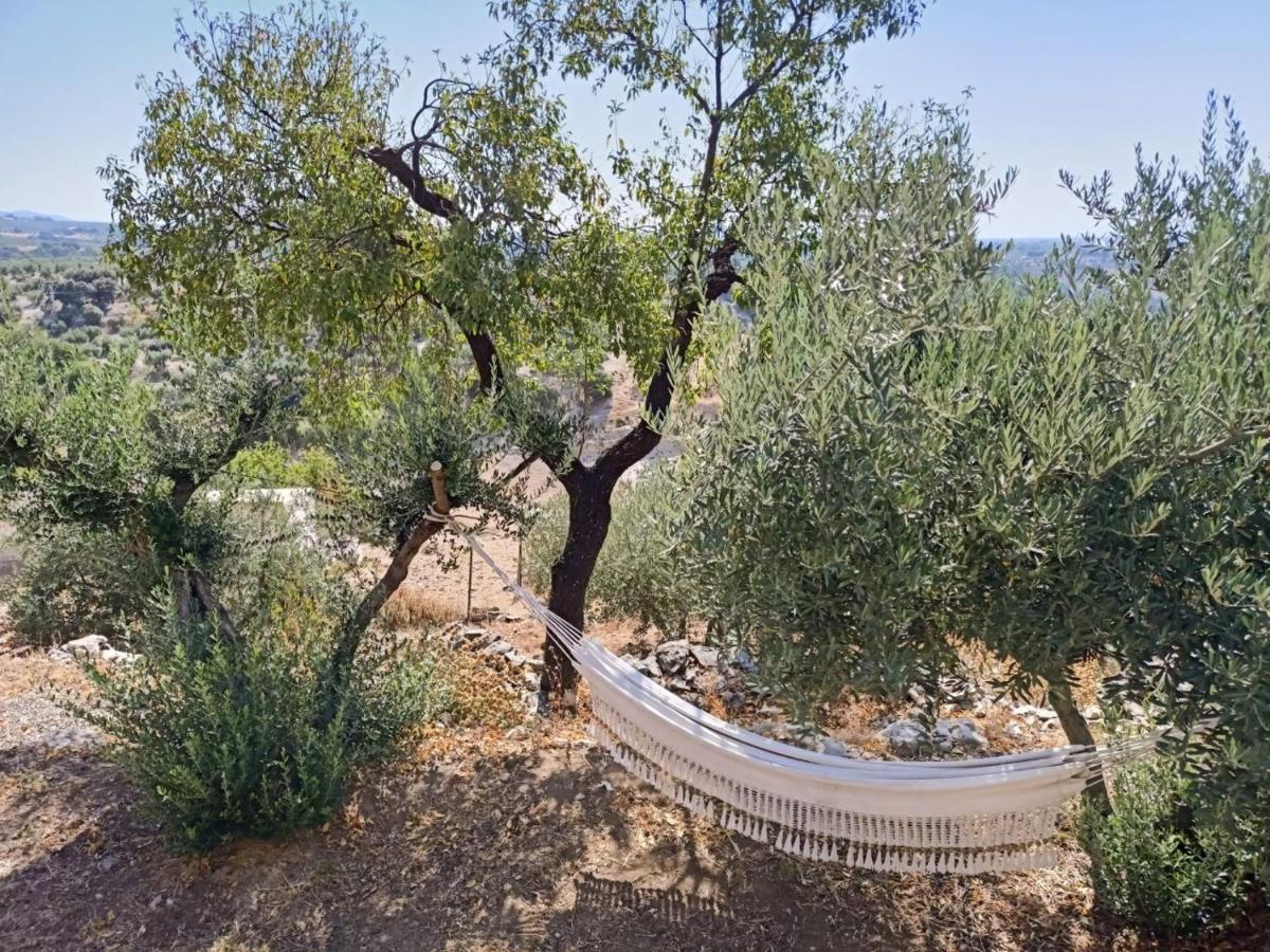 Holiday home El Almendro De Fuentes Nuevas