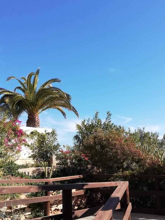 Perfect For Exploring Local Areas And