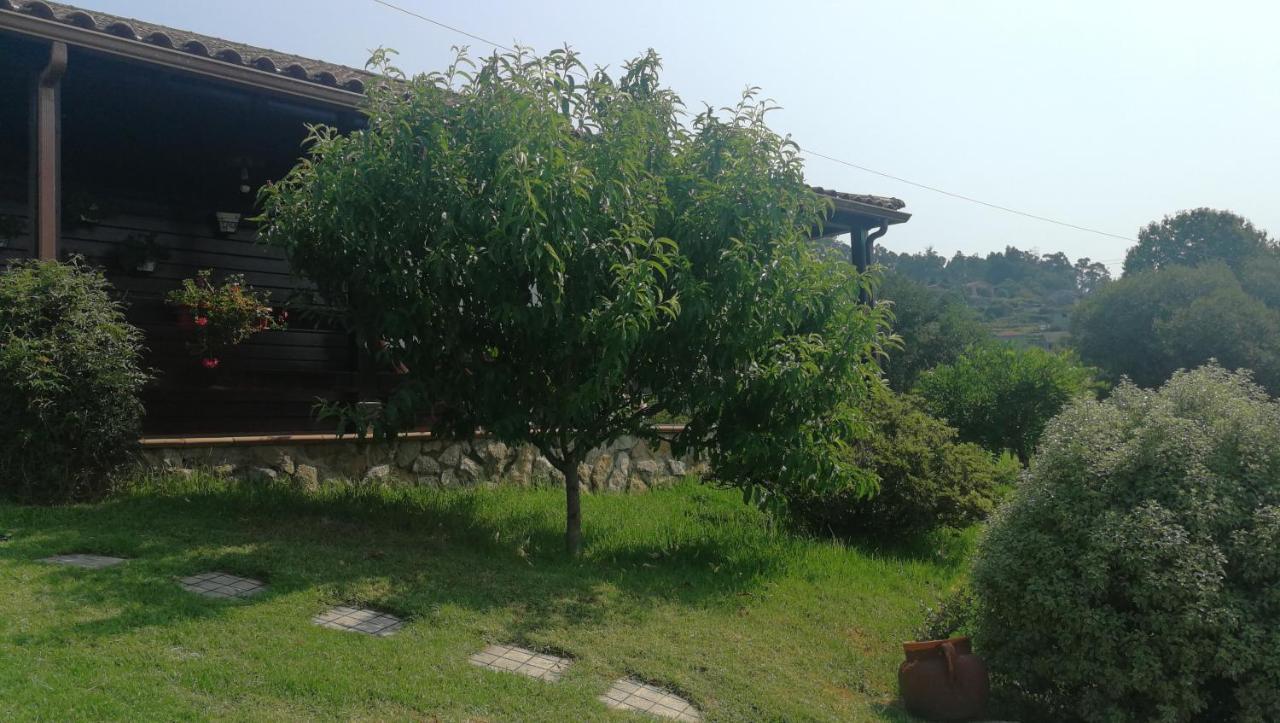 Laura Holiday home Salceda de Caselas