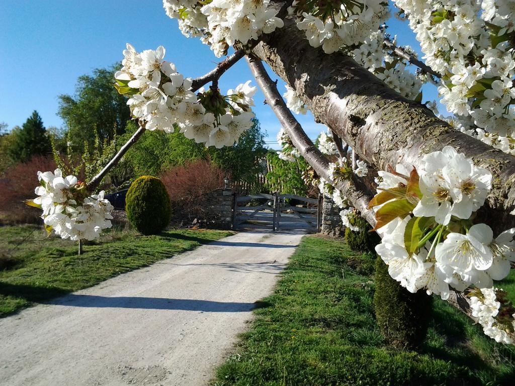 Torre Gargallo Country house